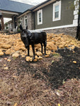 Donkey Statue