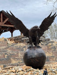 Eagle on Ball